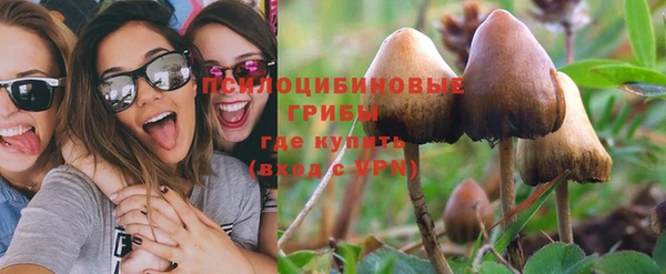 MESCALINE Инта