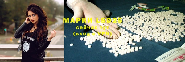 MESCALINE Инта