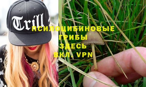 MESCALINE Инта