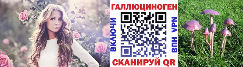 Галлюциногенные грибы прущие грибы  Купить  Николаевск 